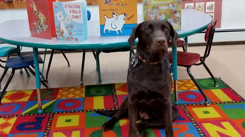 Promotional image for Read to Mocha!