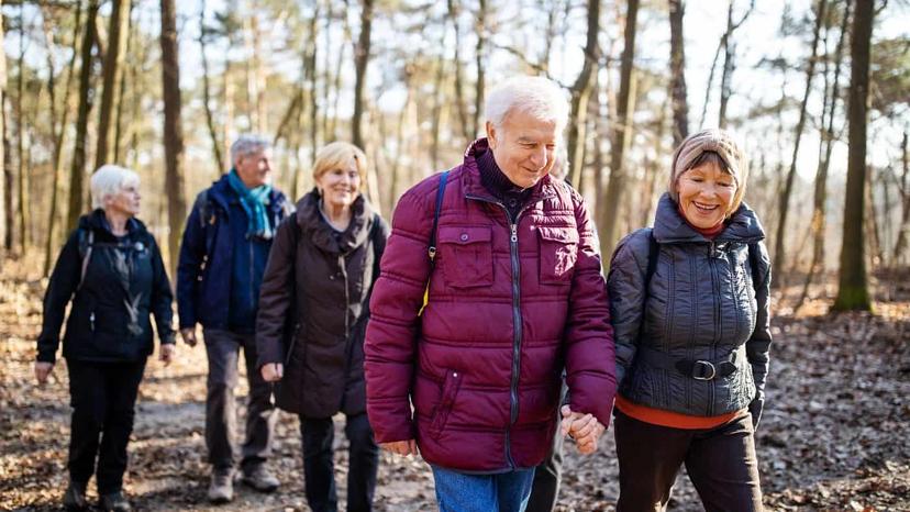 Promotional image for Walking Group