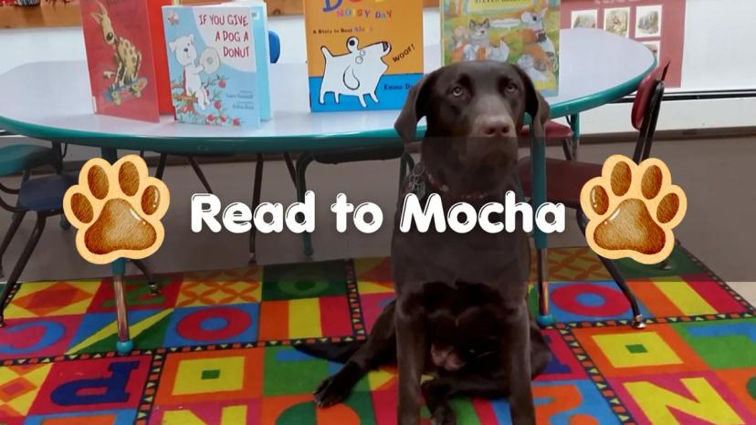 Promotional image for Read to Mocha!