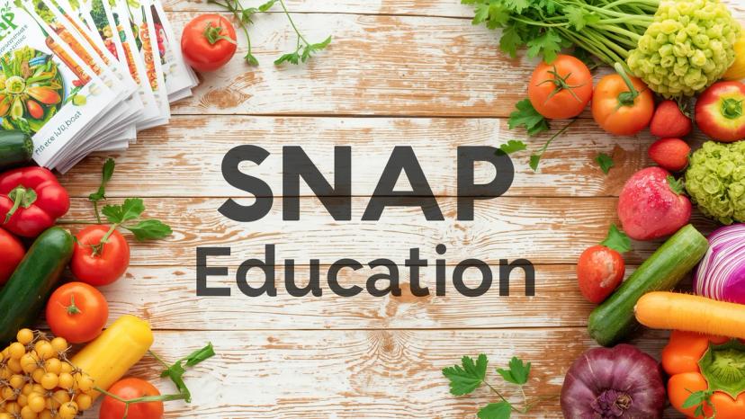 Promotional image for SNAP Education